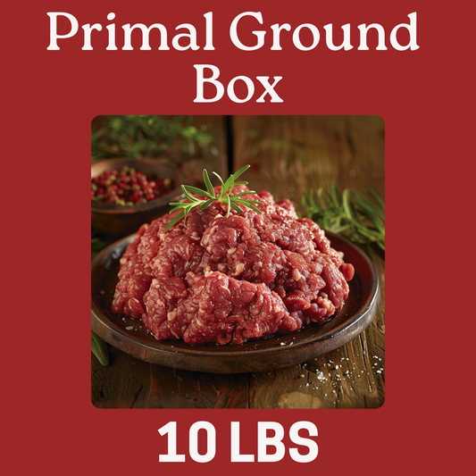 Primal Ground Box (10 LBs)